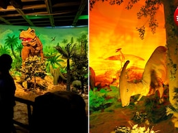 Delhi Jurassic Park: दिल्ली में अब बच्चों को दिखाएं डायनासोर! खुल गया जुरासिक पार्क, मात्र 100 रुपये की है टिकट