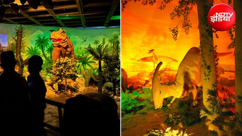 Delhi Jurassic Park: दिल्ली में अब बच्चों को दिखाएं डायनासोर! खुल गया जुरासिक पार्क, मात्र 100 रुपये की है टिकट