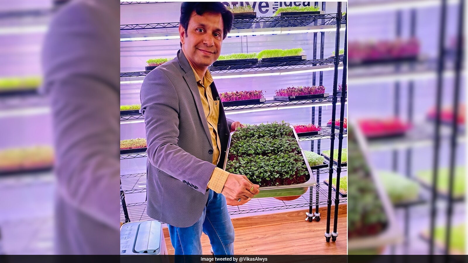 Chandigarh Engineer Builds Rs 1.44 Crore Microgreens Business