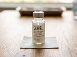 Drug Regulator Flags Rabies Vaccine As Substandard, Manufacturer Says Seized Vials Were Not Its Product
