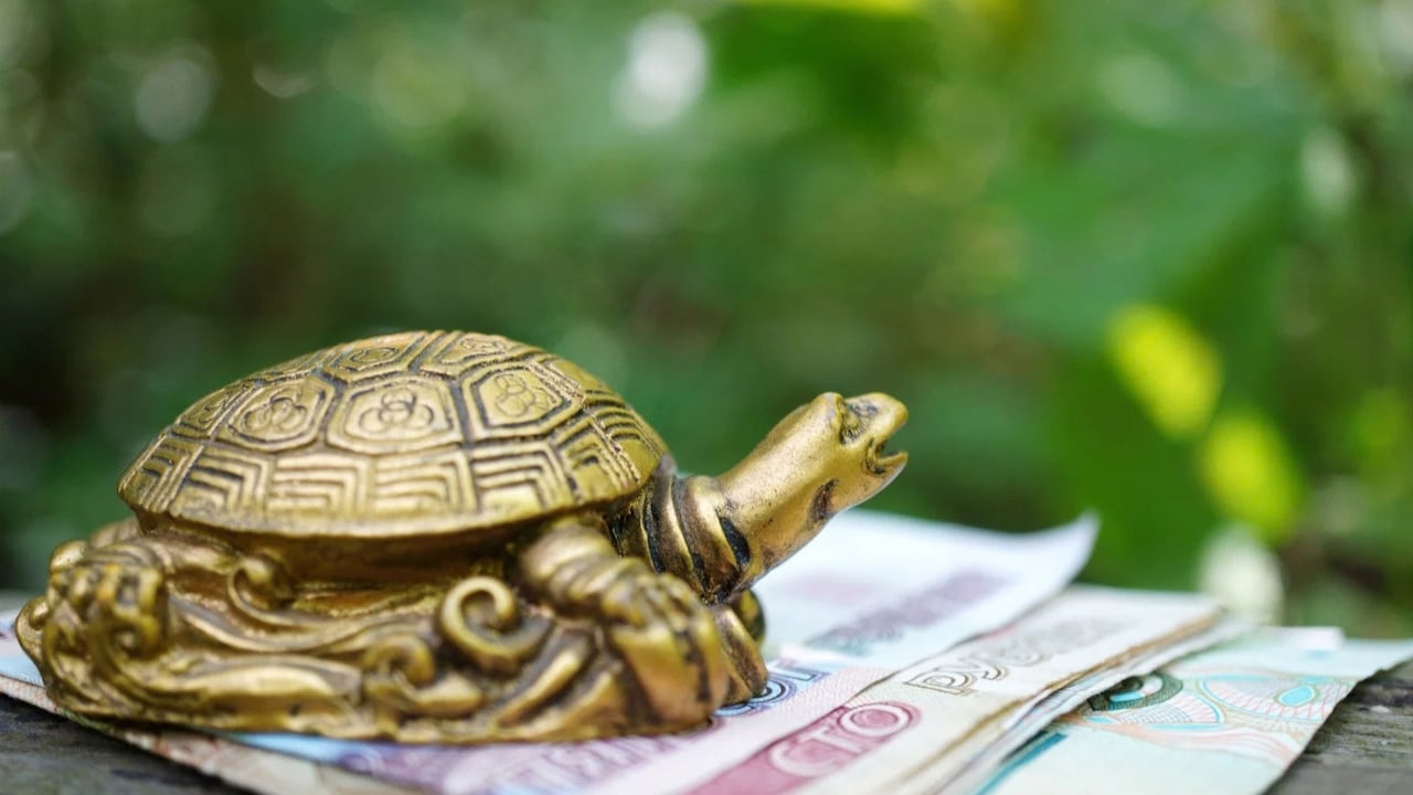 Feng Shui Tortoise: घर में फेंगशुई कछुआ रखते हैं तो दिख सकते हैं ये 3 शुभ संकेत, जानें सही दिशा और नियम