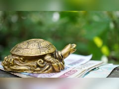 Feng Shui Tortoise: घर में फेंगशुई कछुआ रखते हैं तो दिख सकते हैं ये 3 शुभ संकेत, जानें सही दिशा और नियम