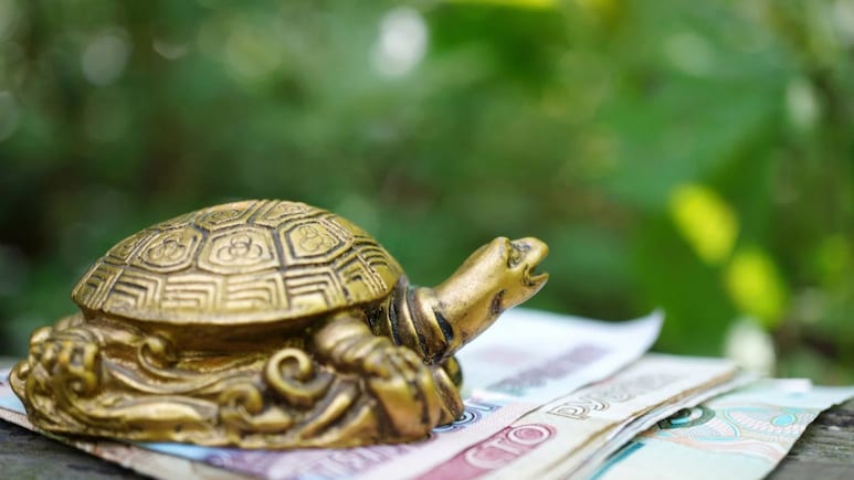 Feng Shui Tortoise: घर में फेंगशुई कछुआ रखते हैं तो दिख सकते हैं ये 3 शुभ संकेत, जानें सही दिशा और नियम