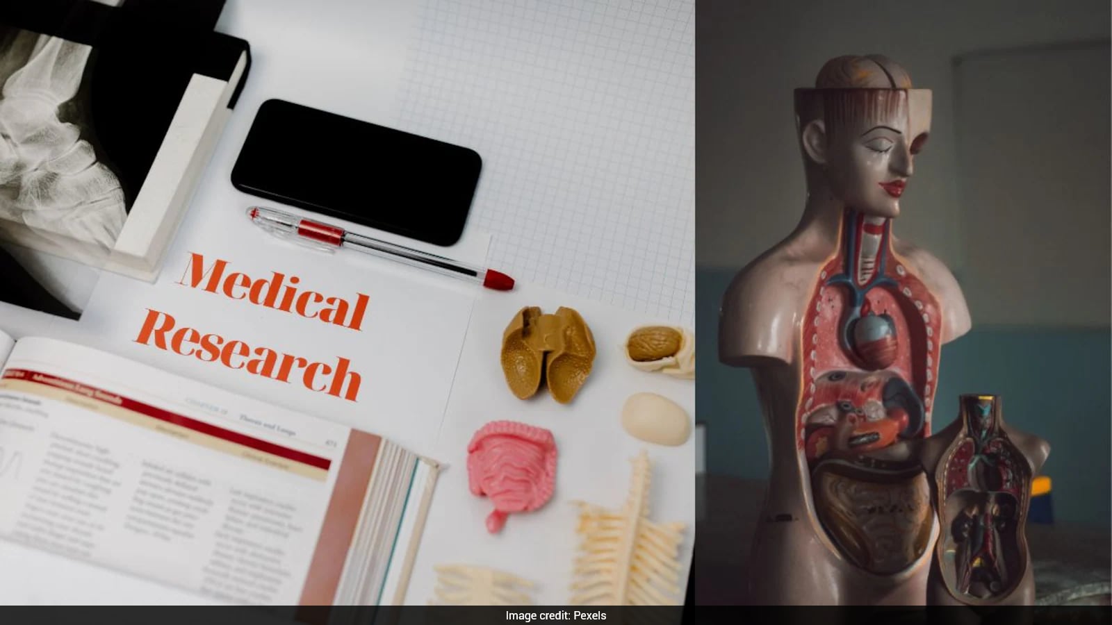 What Stomach Acid Really Does to Swallowed Razor Blades