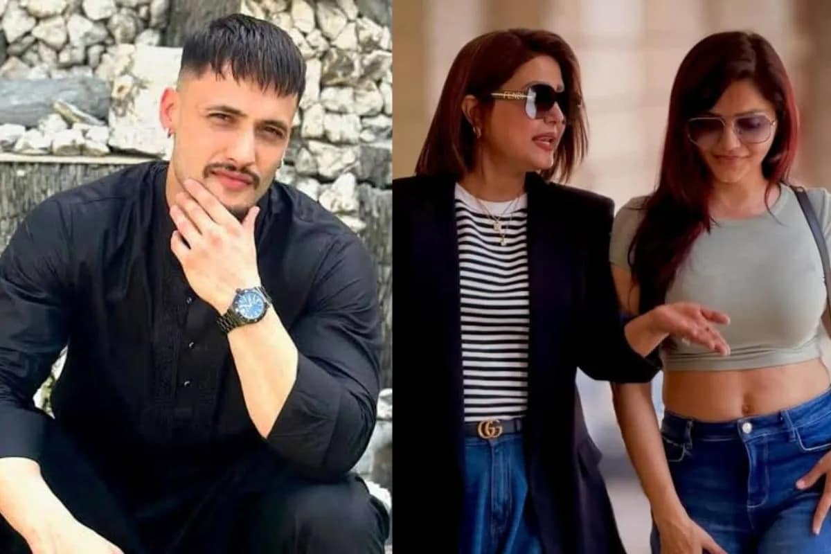 'Keep Being Puppets': Asim Riaz's Dig At 'TV Aunties' Rubina, Hina