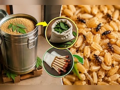 Kitchen Hack: बारिश में गेहूं को घुन से कैसे बचाएं? ये रहा देसी जुगाड़