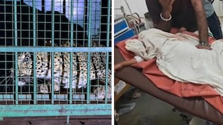 मां के पास से मासूम को जबड़े में दबाकर ले गया था तेंदुआ, वन विभाग के पिंजरे में हुआ कैद