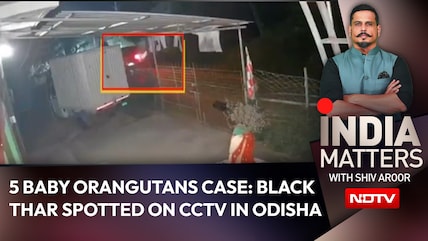 5 Orangutans, A Black Thar & A Midnight Mystery: New CCTV Clue