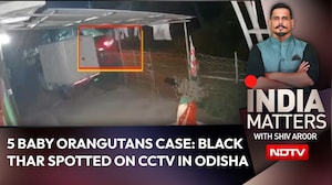 5 Orangutans, A Black Thar & A Midnight Mystery: New CCTV Clue