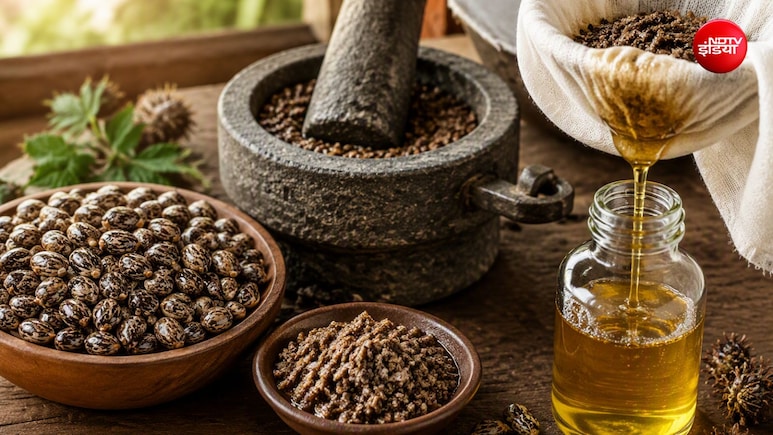 कैस्टर ऑयल घर पर कैसे बनाएं? 250 ग्राम बीज से तैयार करें यह खास तेल | Black Castor Oil Recipe