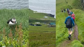 Only 6 People Live On This Remote Island Where Groceries Arrive By Helicopter