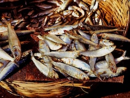 Not Just Fish, Nepal's Floodwater May Endanger Safe Food Supply In Bihar: What Doctors Say