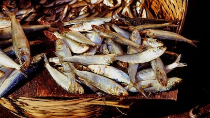 Not Just Fish, Nepal's Floodwater May Endanger Safe Food Supply In Bihar