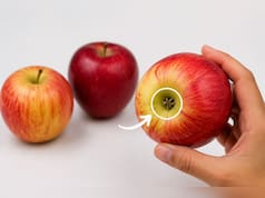 सेब खरीदते वक्त भूलकर भी न करें ये गलती, इस छोटी से ट्रिक जानें Apples मीठा या खट्टा