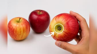 सेब खरीदते वक्त भूलकर भी न करें ये गलती, इस छोटी से ट्रिक जानें Apples मीठा या खट्टा