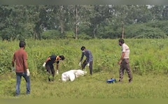 Girl Gang-Raped, Killed By 4, Including 3 Minors In Delhi, Body Eaten By Dogs
