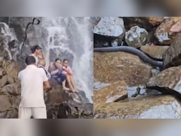 Watch: Large Snake Falls On Man Carrying Child At Maharashtra Waterfall