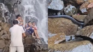 Watch: Large Snake Falls On Man Carrying Child At Maharashtra Waterfall