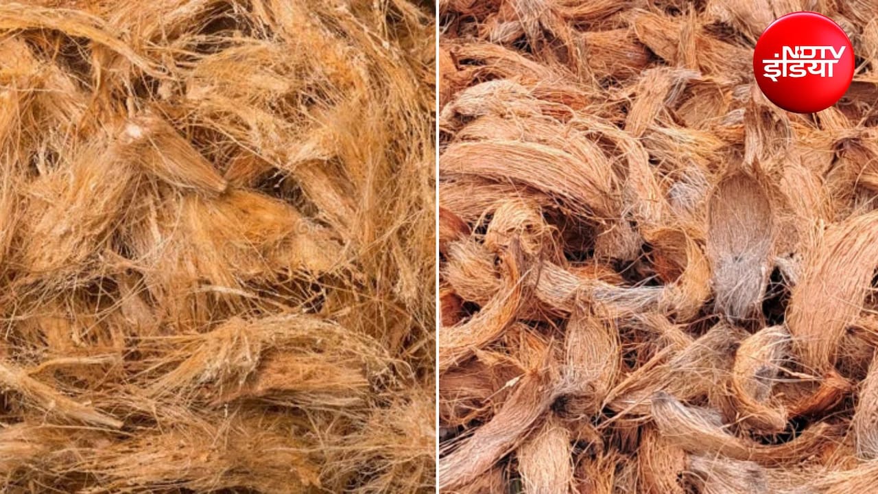 Coconut Husk DIY: कचरा नहीं हैं नारियल के छिलके, इन 3 तरीकों से करें इस्तेमाल, जानिए हैक्स