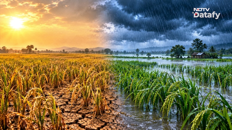 Cyclone Arnab Triggers Flooding, Damages Paddy Crop In UP, Bihar