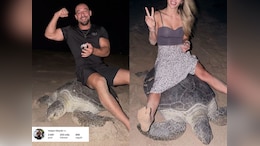 Fitness Influencer Films Himself Riding Nesting Sea Turtle, Internet Is Furious