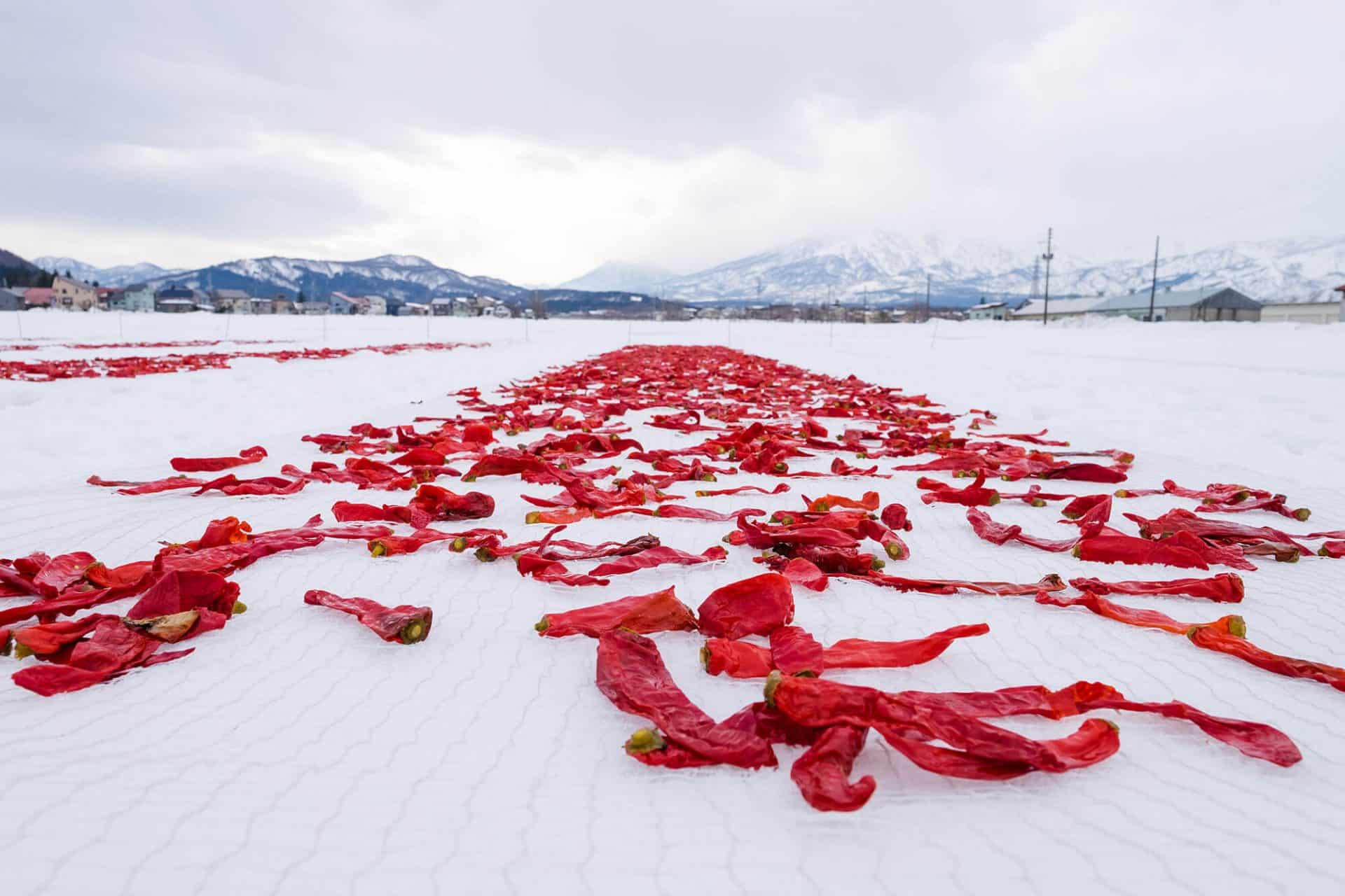 Why Are Red Chillies Left On Snow In Japan? The Answer Takes 3 Years