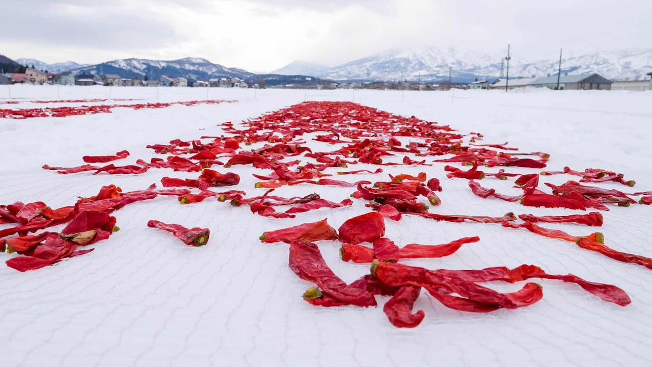 Why Are Red Chillies Left On Snow In Japan? The Answer Takes 3 Years