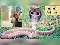 सपेरे ने बताया सांप भगाने का मंत्र,  घर में सांप न‍िकल जाए तो क्‍या करें, जान‍िए यहां