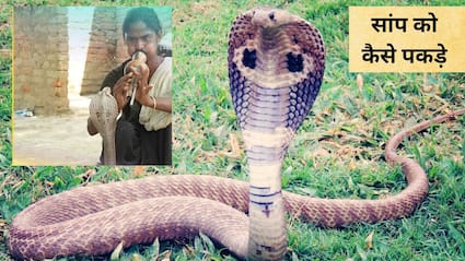 सपेरे ने बताया सांप भगाने का मंत्र,  घर में सांप न‍िकल जाए तो क्‍या करें, जान‍िए यहां