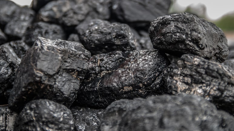 Coal Gasification Scheme: Govt Calls 'No Takers' Reports Premature Ahead Of Sept 7 Deadline