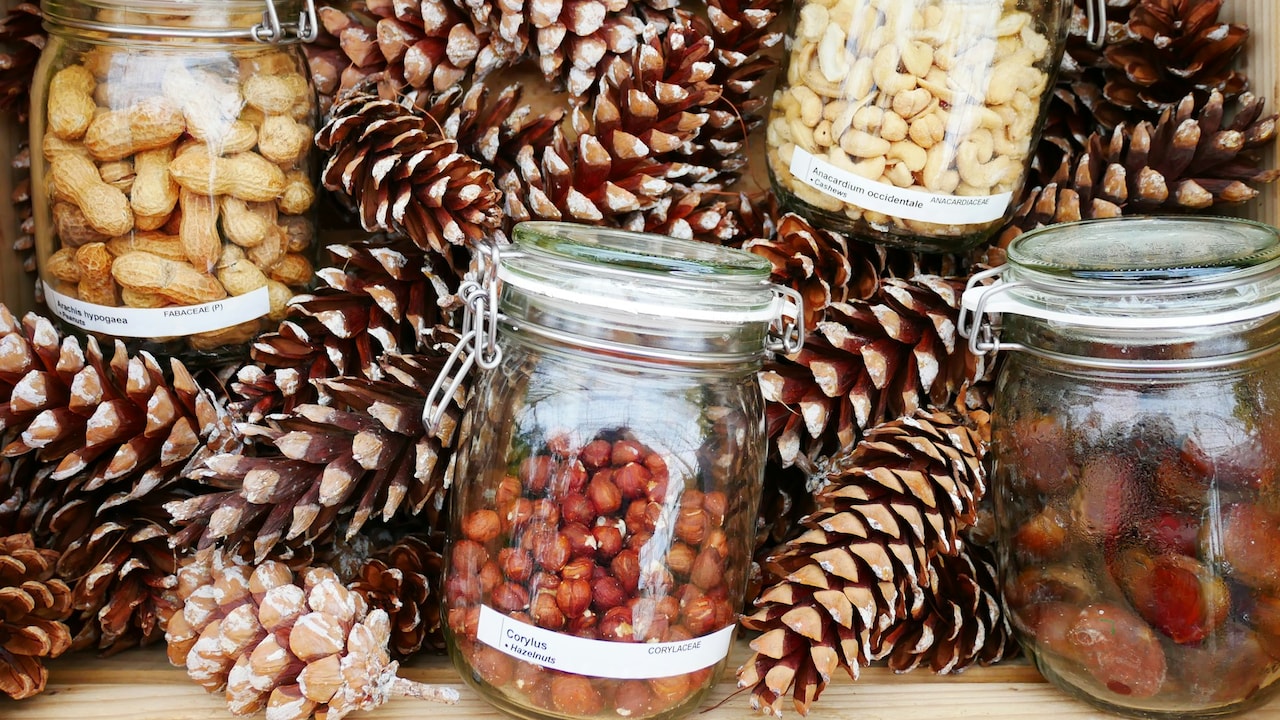 Add more sweetness to your Janmashtami celebration with these dry fruits and nuts hampers Add more sweetness to your Janmashtami celebration with these dry fruits and nuts hampers