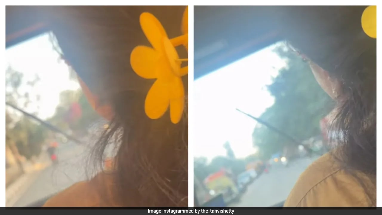 Bengaluru Woman Leaves IT Job To Drive Rapido Auto, Says She Earns More Now