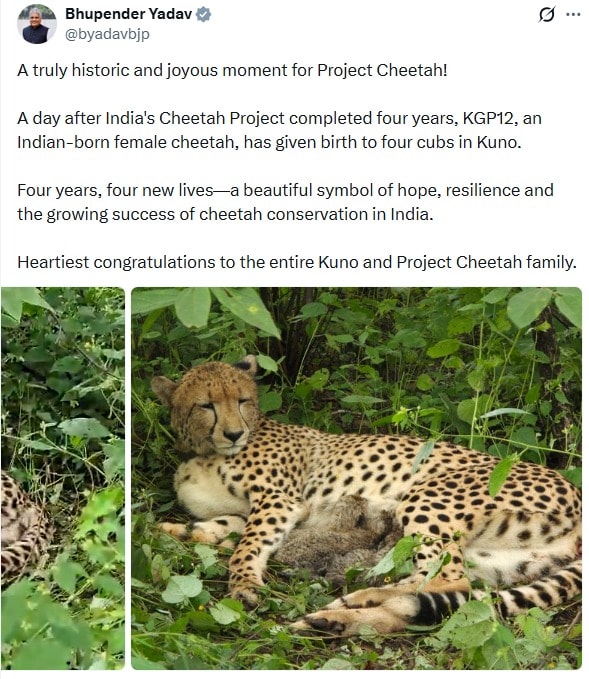 केंद्रीय वन मंत्री भूपेंद्र सिंह यादव ने जताई खुशी.