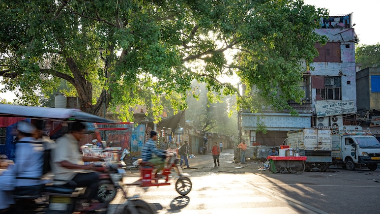 'What Makes You So Entrepreneurial?': Cars24 Co-Founder Amazed By Success Of People From West Delhi