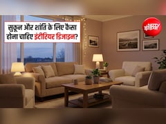 Home Decor Tips: घर लौटते ही मिले शांति और सुकून... इंटीरियर डिजाइन में रखें इन बातों का ध्यान, एक्सपर्ट से जानिए जरूरी टिप्स