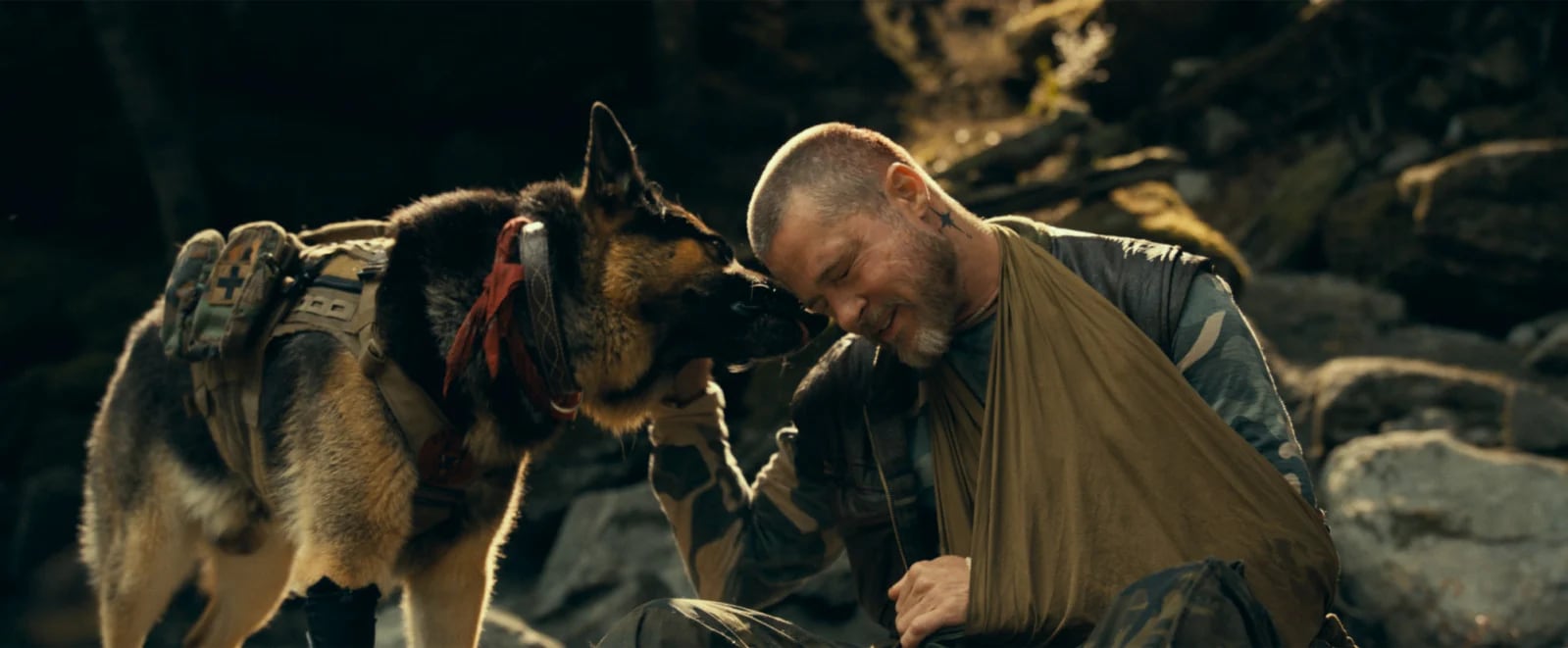 Review: Brad Pitt, His Four-Legged Co-Star Make Heart Of The Beast Worth Watching