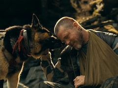 <i>Heart Of The Beast</i> Review: Brad Pitt And His Four-Legged Co-Star Make This Survival Drama Worth The Journey