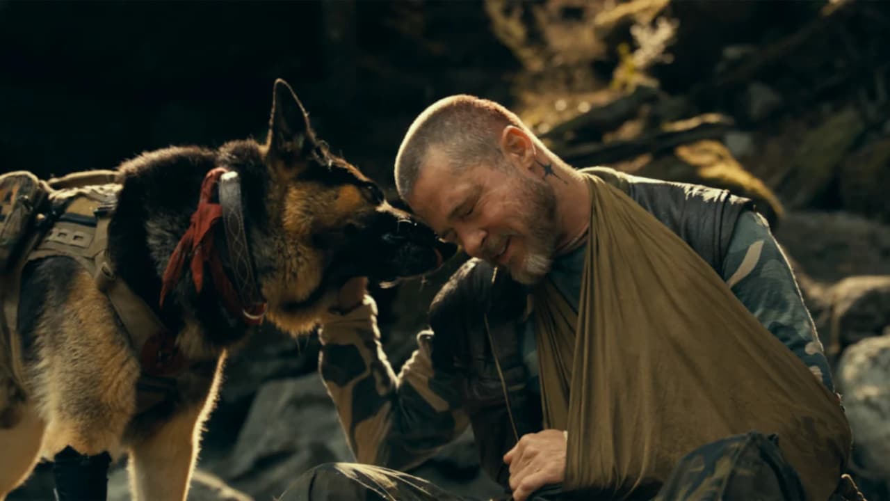 Heart Of The Beast Review: Brad Pitt And His Four-Legged Co-Star Make This Survival Drama Worth The Journey
