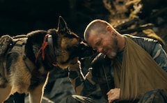 Review: Brad Pitt, His Four-Legged Co-Star Make <i>Heart Of The Beast</i> Worth Watching
