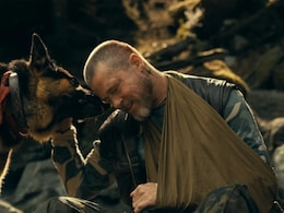 <i>Heart Of The Beast</i> Review: Brad Pitt And His Four-Legged Co-Star Make This Survival Drama Worth The Journey