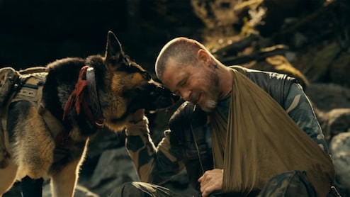 Heart Of The Beast Review: Brad Pitt And His Four-Legged Co-Star Make This Survival Drama Worth The Journey