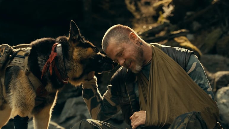 <i>Heart Of The Beast</i> Review: Brad Pitt And His Four-Legged Co-Star Make This Survival Drama Worth The Journey