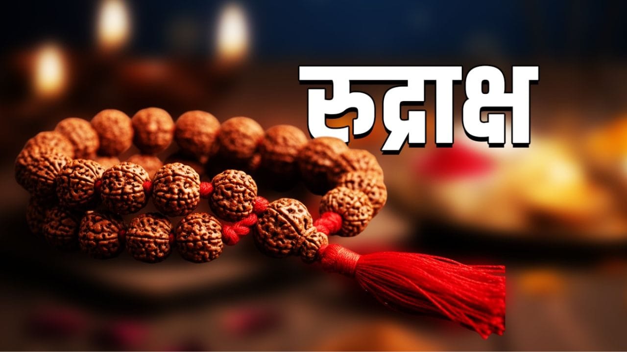किस मूलांक के लिए कौन-सा रुद्राक्ष माना जाता है शुभ? एस्ट्रोलॉजर जय मदान ने बताया रुद्राक्ष पहने का सही तरीका