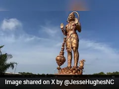 'Tearing This Down': YouTuber's Post On Texas Hanuman Statue Sparks Row