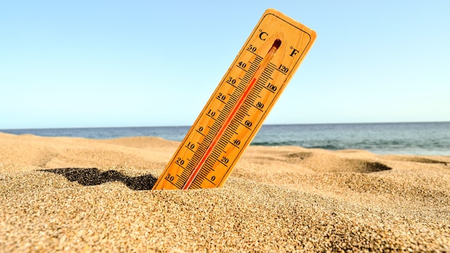 Your gut health could be negatively impacted just before a heat stroke hits
