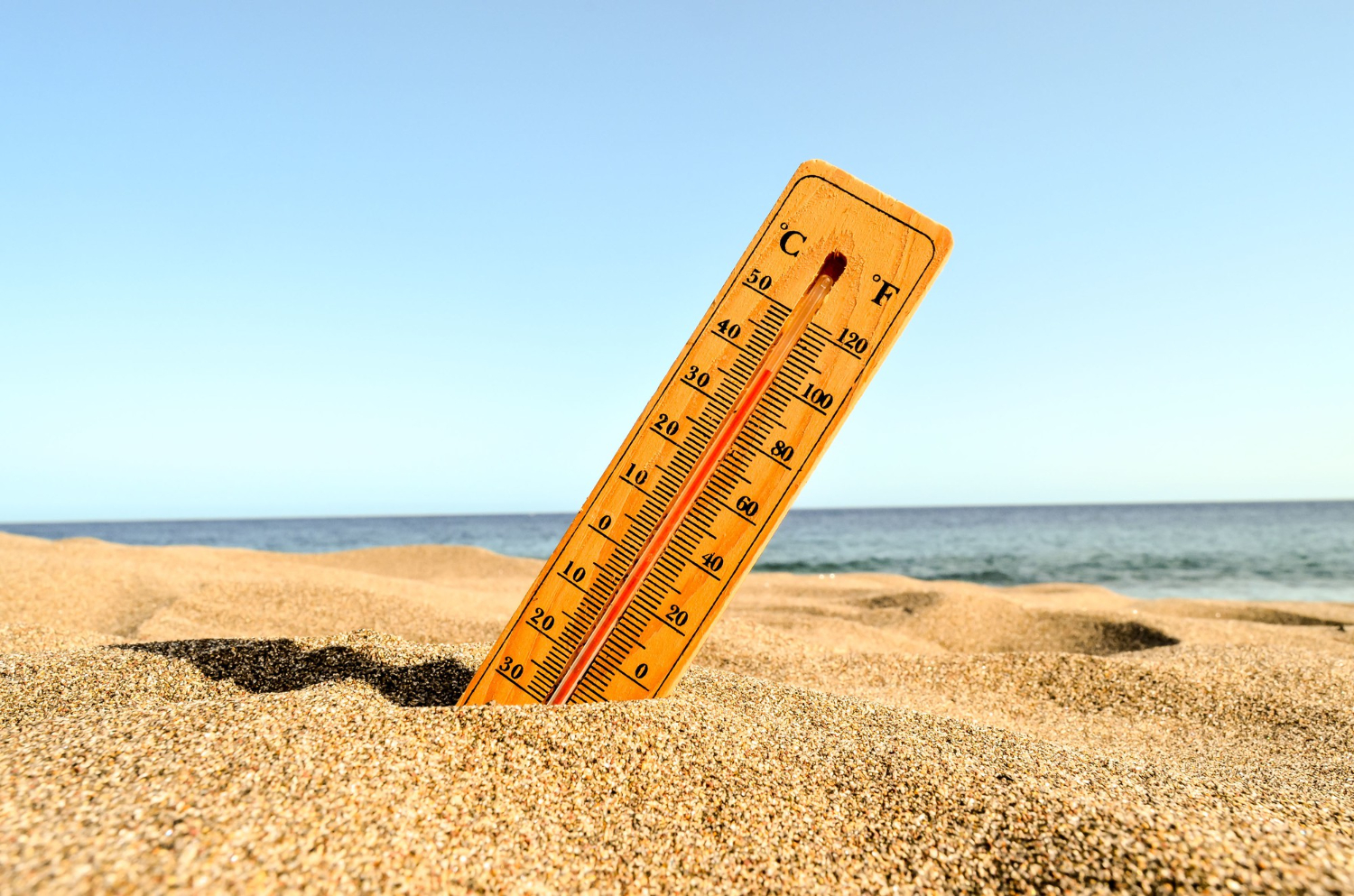Your gut health could be negatively impacted just before a heat stroke hits