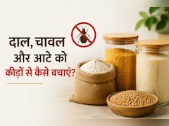 बारिश में दाल, चावल और आटे को कीड़ों से बचाने के आसान और असरदार घरेलू नुस्खे