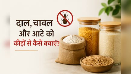बारिश में दाल, चावल और आटे को कीड़ों से बचाने के आसान और असरदार घरेलू नुस्खे
