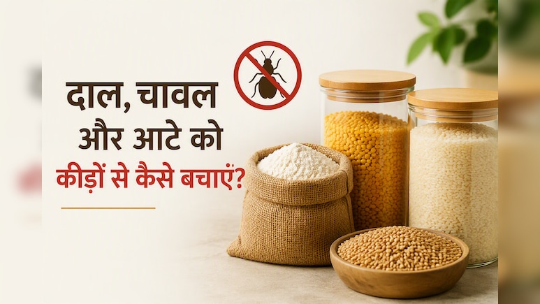 बारिश में दाल, चावल और आटे को कीड़ों से बचाने के आसान और असरदार घरेलू नुस्खे