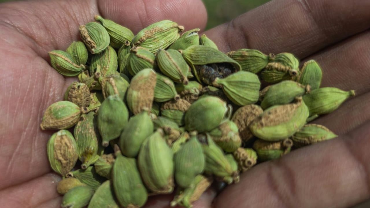 Which Place In India Is Known As The 'Land Of Elaichi'?